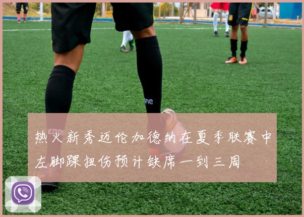 热火新秀迈伦加德纳在夏季联赛中左脚踝扭伤预计缺席一到三周