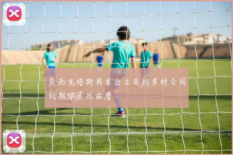 贝西克塔斯再度出击目标多特合同到期球员厄兹詹