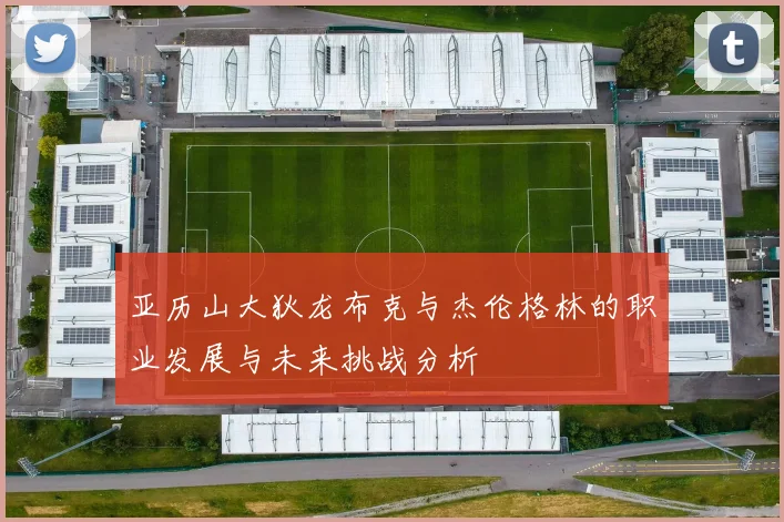 亚历山大狄龙布克与杰伦格林的职业发展与未来挑战分析
