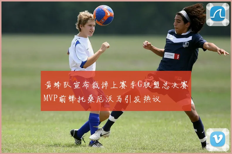 黄蜂队宣布裁掉上赛季G联盟总决赛MVP前锋托桑厄沃马引发热议
