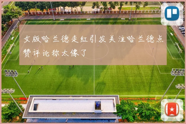 女版哈兰德走红引发关注哈兰德点赞评论称太像了